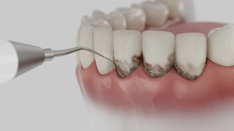 Reliable Dental contractor in West Livingston, TX by Dentist Open Now